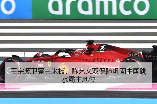 wang-zong-yuan-wei-mian-san-mi-ban-chen-yi-wen-shuang-bao-xian-gong-gu-zhong-guo-tiao-shui-ba-zhu-di-wei-2-333.jpg